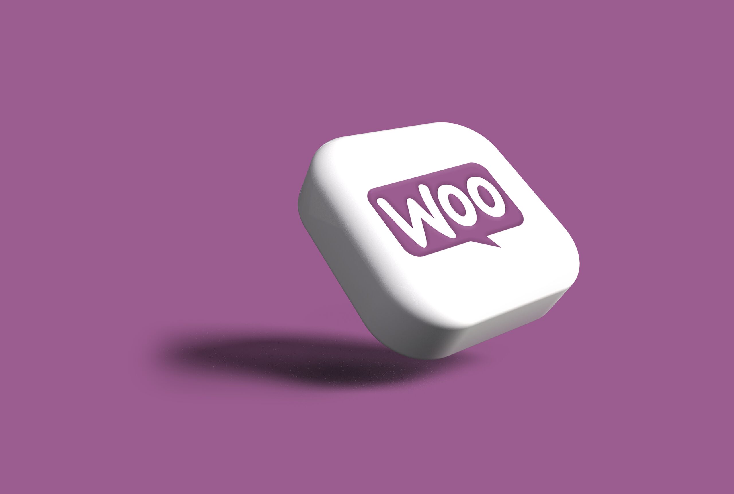 Intervention sur Woocommerce