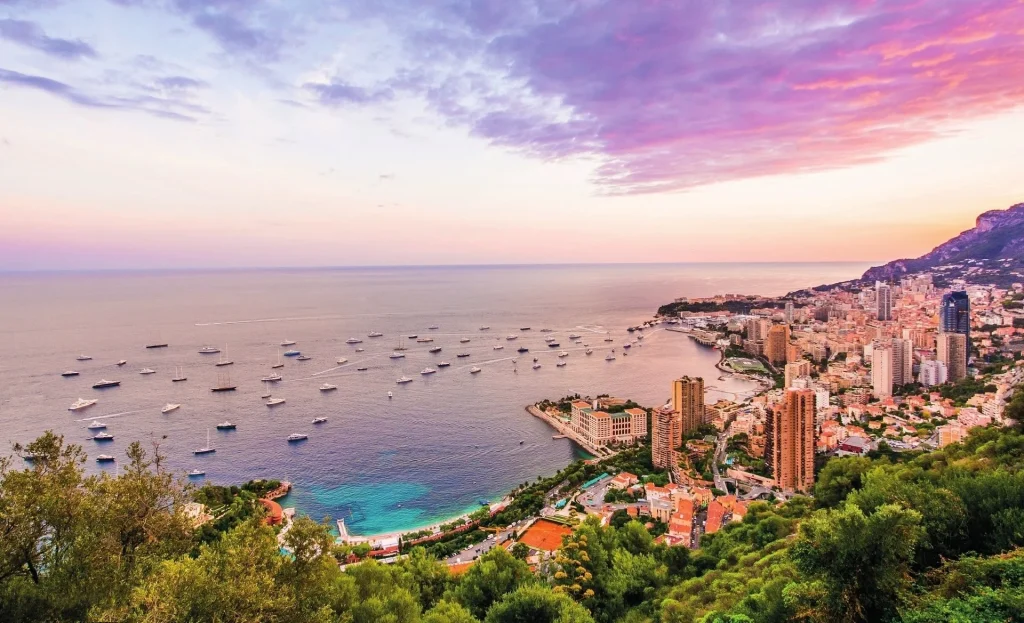 équipe spécialisée de développeurs WordPress à Monaco